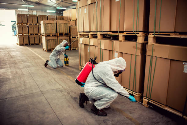 Best Wasp Removal Services  in Gosport, IN