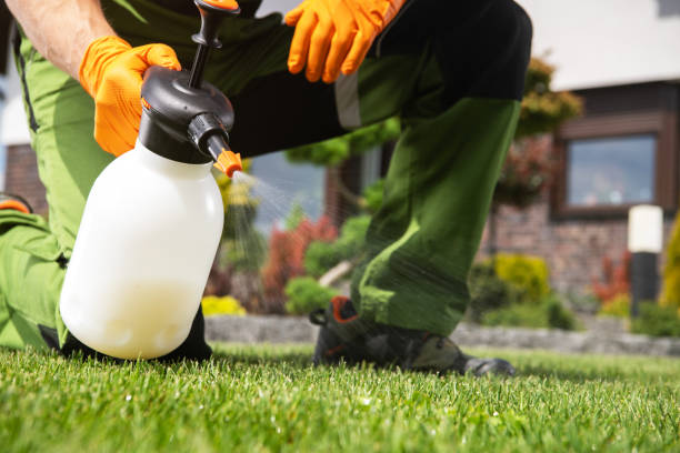 Best Cockroach Control Services  in Gosport, IN