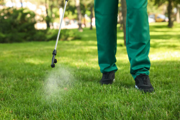 Best Affordable Pest Control Services  in Gosport, IN