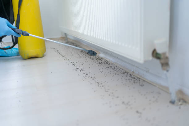 Best Insect Control  in Gosport, IN