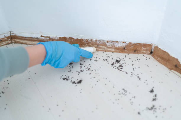 Best Exterminator Services  in Gosport, IN