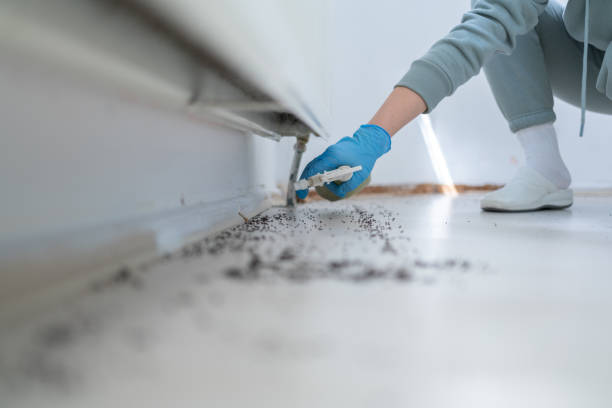 Best Pest Prevention Services  in Gosport, IN